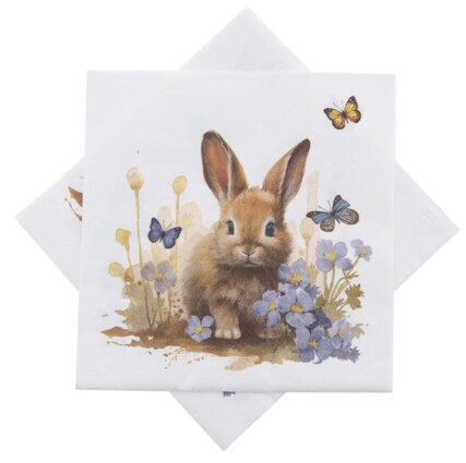 Snímek obrazovky 2025-02-10 134835.png