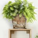 Výplň květináčů pro interiéry - Artic fern