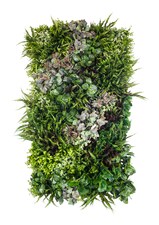 Vertikální zahrada Fields