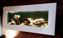 Nástěnné akvárium SNABYTEK 150 cm