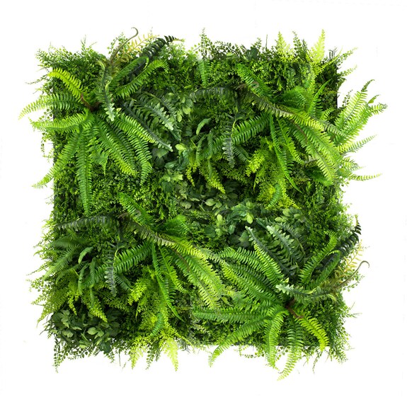 Vertikální zahrada Wild Fern