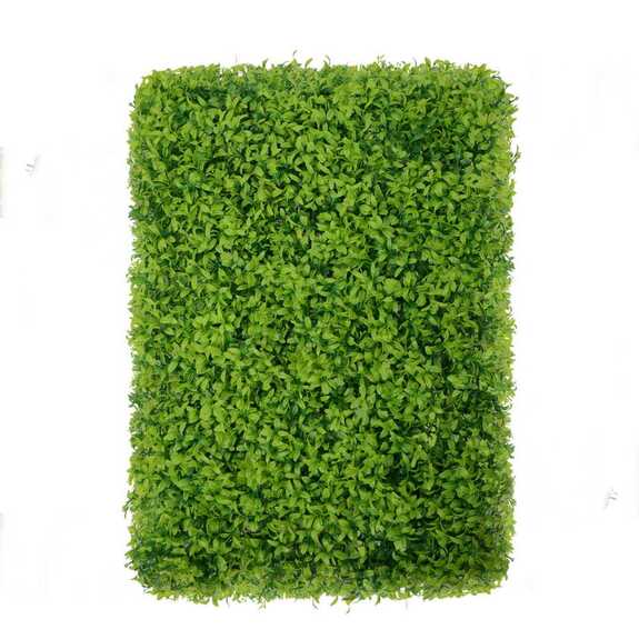 Vertikální zahrada Buxus