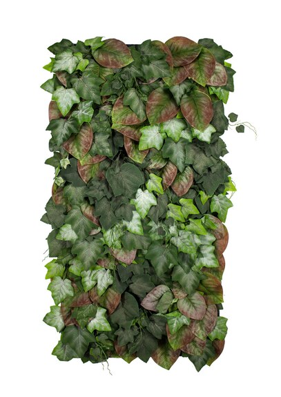 Vertikální zahrada Hedera