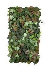 Vertikální zahrada Hedera