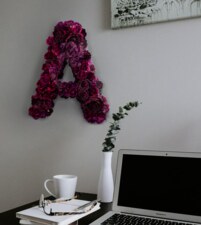 Písmeno z růži A - American dream