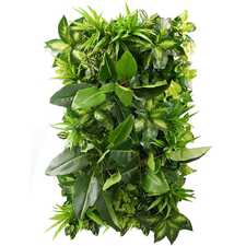 Vertikální zahrada Tropical Freshness