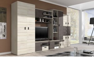 Bytová stěna NELSON 1 s televizním stolkem