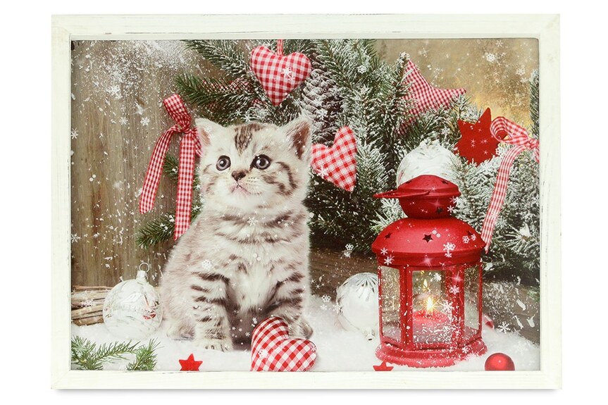 Obraz BD597 nástěnná svítící dekorace