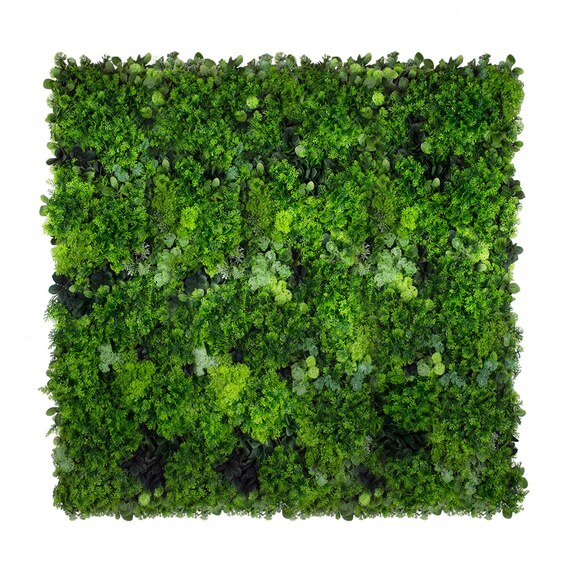 Vertikální zahrada Moss Mesh