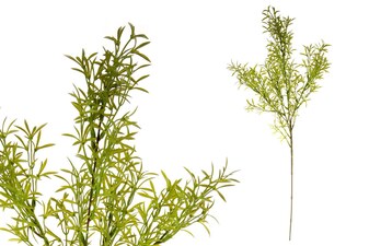 Asparágus SG6034, barva zelená, umělá květina plastová