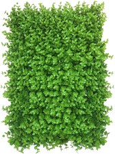 Vertikální zahrada Wielomlecz