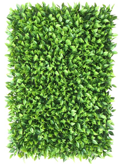 Vertikální zahrada Honkenia