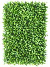 Vertikální zahrada Honkenia