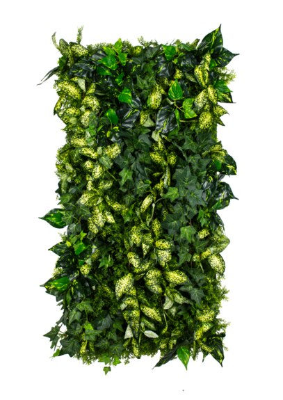 Vertikální zahrada Grown Ivy