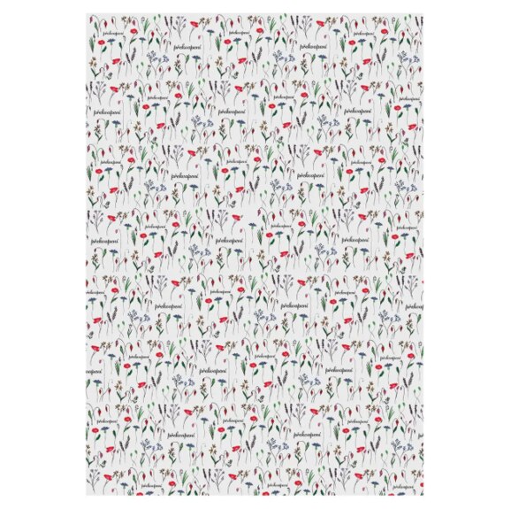 Papír balicí Překvapení 100x70 cm 2 ks CZ, náhr. 842356