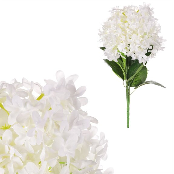 Šeřík v pugetu KN7046