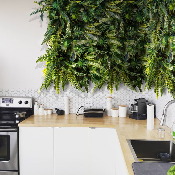 Vertikální zahrada Deepwoods Fern