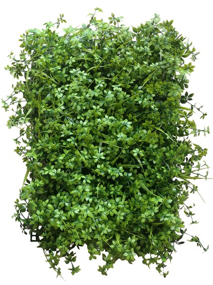 Vertikální zahrada Lovage