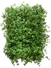 Vertikální zahrada Lovage