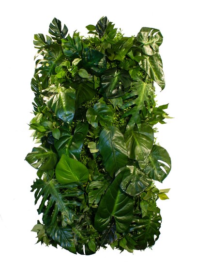 Vertikální zahrada Coconut Island