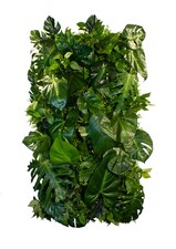 Vertikální zahrada Coconut Island