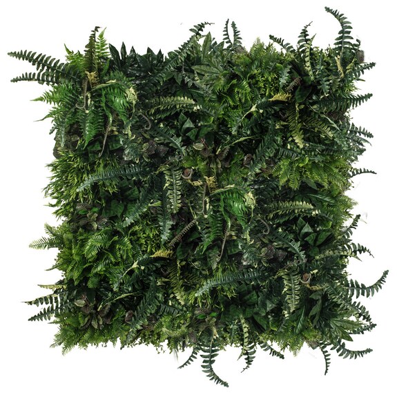 Vertikální zahrada Rainforest