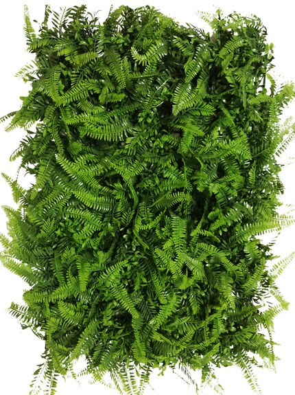 Vertikální zahrada KAPRADINA