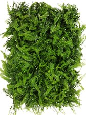 Vertikální zahrada KAPRADINA