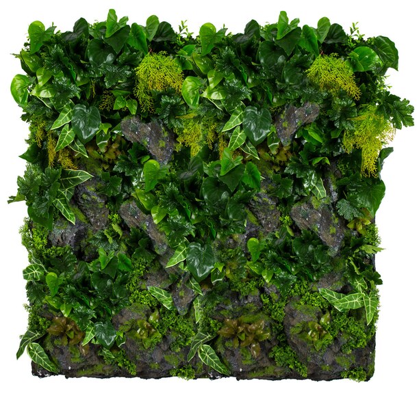 Vertikální zahrada Rocky Cliff