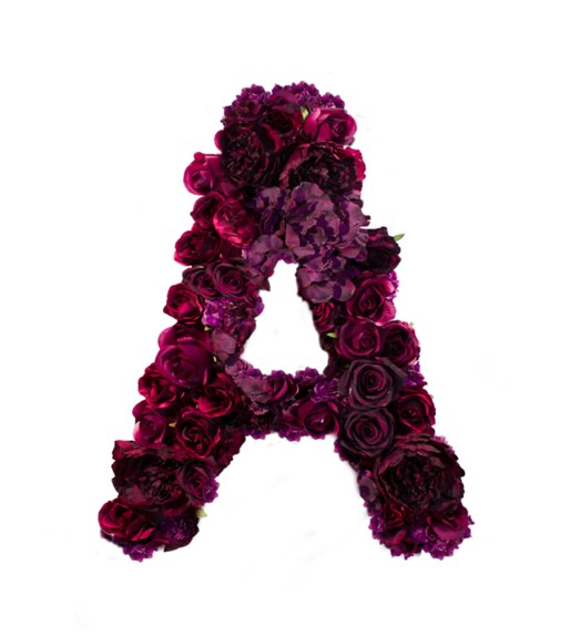 Písmeno z růži A - American dream
