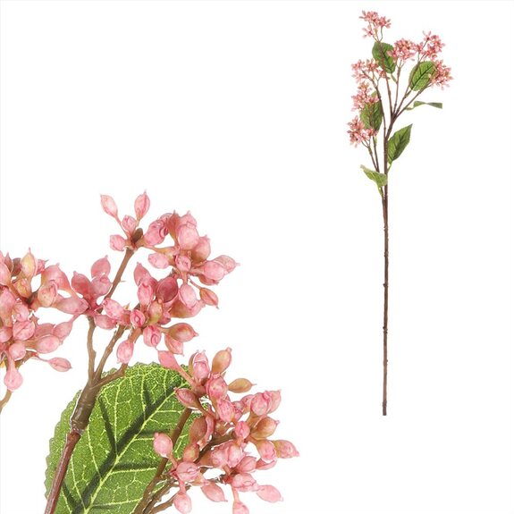 Krásnoplodka japonská, sv.růžová barva.