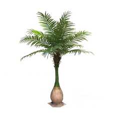 Umělý dekorativní strom - PALMA DYPSIS GD4221