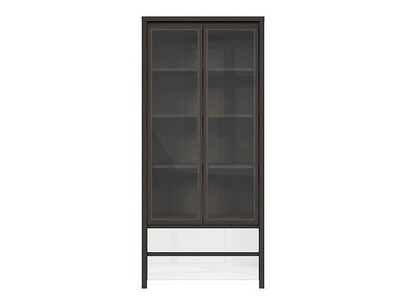 Vitrína KASPIAN REG2W2S