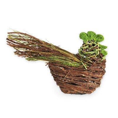 Slepice proutí 39x22cm zelená