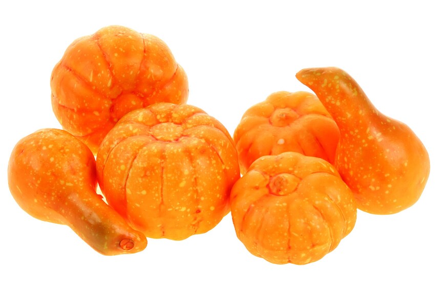 Dýně, umělá přízdoba KN5134