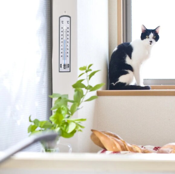 Teploměr dřevo univerzální 21 cm antracitová