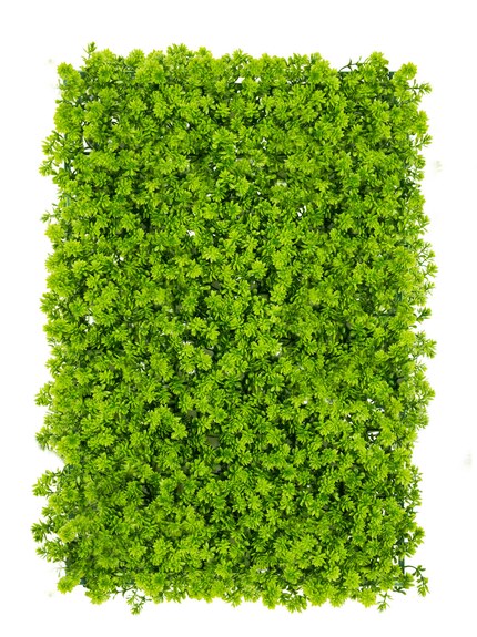 Vertikální zahrada Chmiel