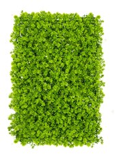 Vertikální zahrada Chmiel