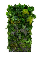 Vertikální zahrada Rocky Cliff