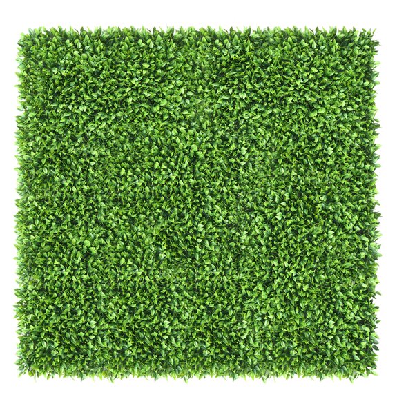 Vertikální zahrada Honkenia