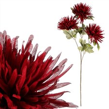 Chryzantéma 3-hlavá NL0146