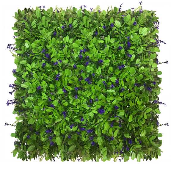 Vertikální zahrada Pomněnka