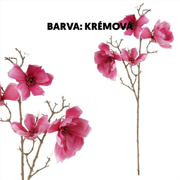 Magnolie, 4 květy UKK211