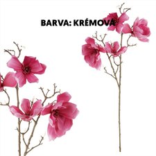 Magnolie, 4 květy UKK211