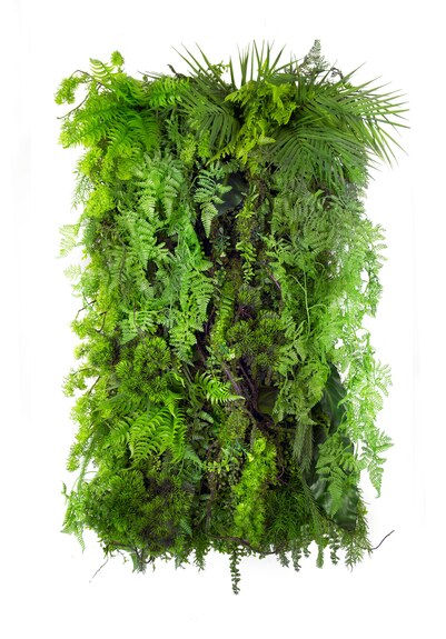 Vertikální zahrada Limba Wilderness