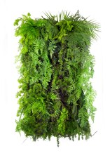 Vertikální zahrada Limba Wilderness