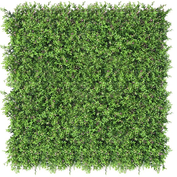 Vertikální zahrada Fumaria