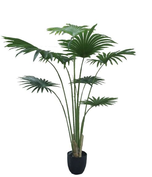 Umělý dekorativní strom - WASHINGTONIA
ROBUSTA GD4304