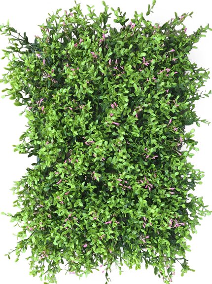 Vertikální zahrada Fumaria