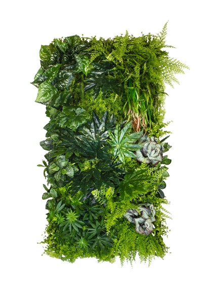 Vertikální zahrada Tropical